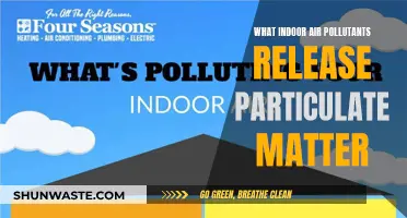 Air Pollutants: What's Lurking in Your Indoor Air?