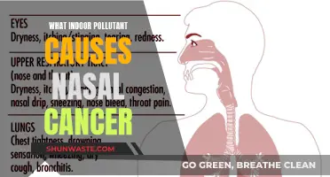 Uncover the Hidden Threat: Indoor Pollutant Linked to Nasal Cancer