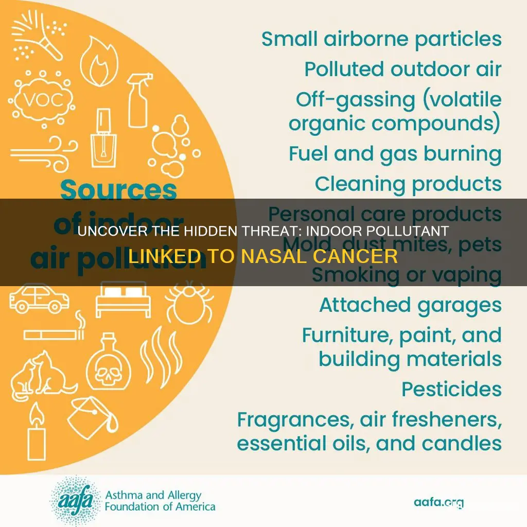 what indoor pollutant causes nasal cancer