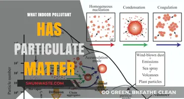 Particulate Matter: Indoor Air Pollution Sources and Solutions
