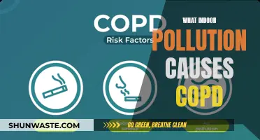 Unveiling the Hidden Enemy: How Indoor Pollution Fuels COPD