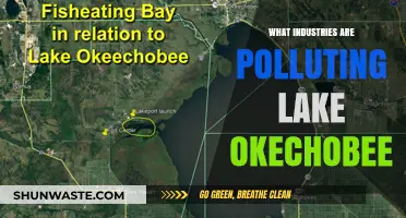 Lake Okeechobee's Polluting Industries: Uncovering the Culprits