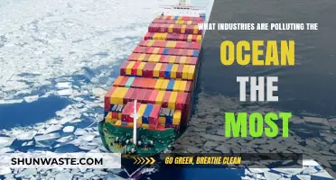 Ocean Pollution: Which Industries Are the Worst Offenders?