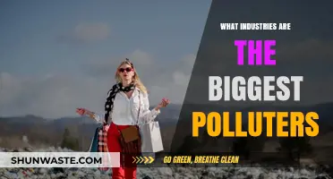 The Worst Polluting Industries: A Global Crisis