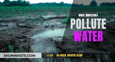 Unveiling Water Polluters: Industries to Watch