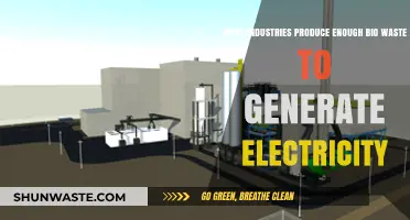 Bio-Waste to Power: Key Industries Fueling Renewable Energy Generation