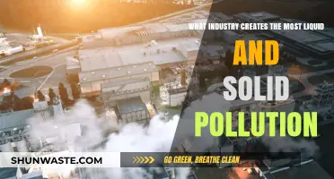Liquid and Solid Pollution: The Worst Offenders