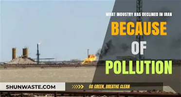 Iran's Pollution Crisis: Which Industries Suffered?