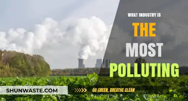 The Dirtiest Industries: Who Pollutes the Most?