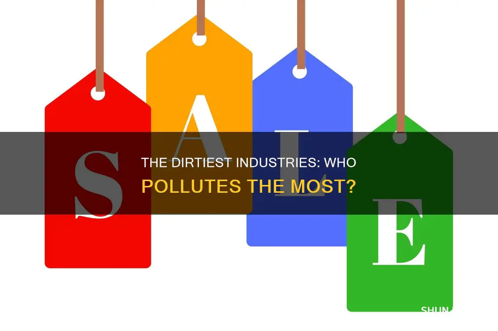 what industry is the most polluting