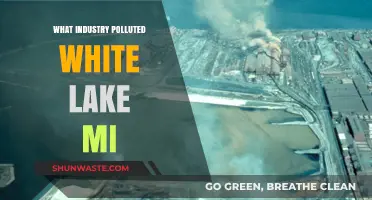 The White Lake Pollution Mystery: Unveiling the Culprit Industry