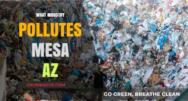 Mesa's Air Pollution: Which Industries are Responsible?