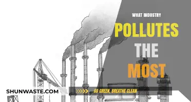 Which Industries Pollute the Most?