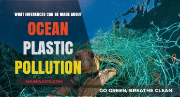 Ocean Plastic Pollution: Unraveling the Inferences and Their Impact