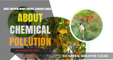 Rachel Carson's Chemical Pollution Concerns: What Informed Her?