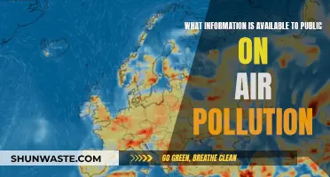 Air Pollution Data: What's Publicly Available?
