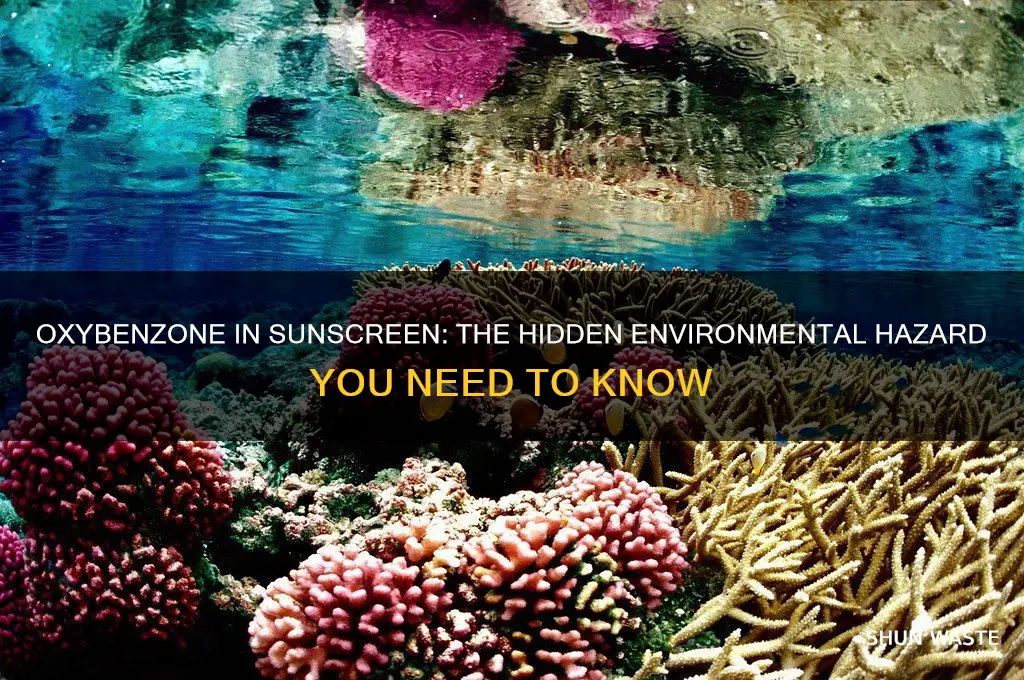what ingredient in sunscreen is bad for the environment