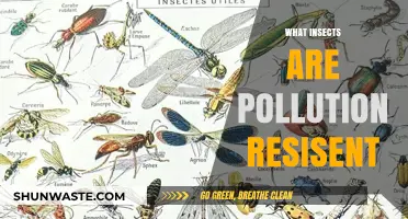 Insects: Pollution Resistance and Survival