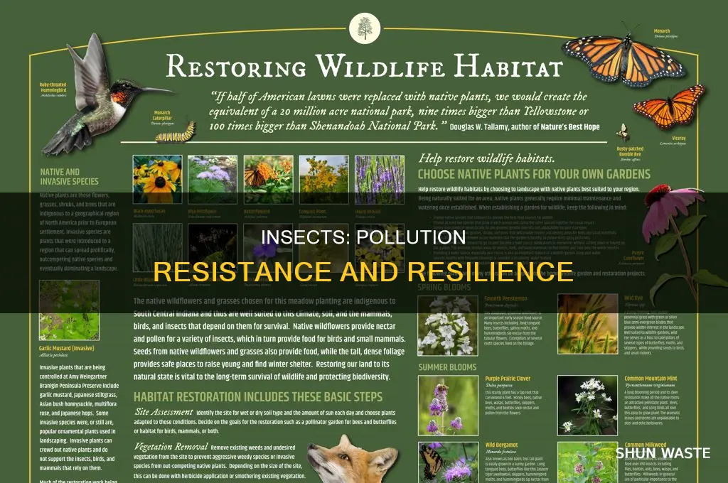 what insects are pollution resistant