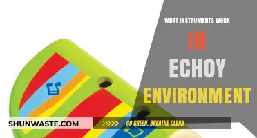 Echo-Friendly Instruments: Mastering Sound in Reverberant Spaces