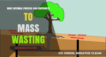 Unleashing the Culprits: Internal Processes Fueling Mass Wasting