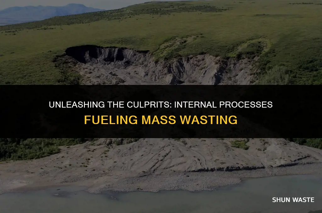what internal process can contribute to mass wasting
