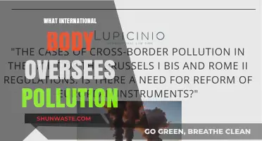 International Pollution Watchdog: Who's Guarding Our Planet?