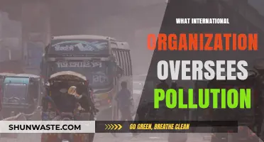 International Efforts to Oversee Pollution