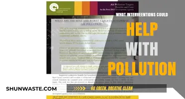 Green Initiatives to Combat Pollution