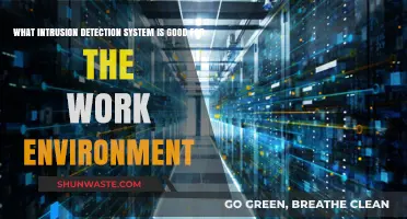 Top Intrusion Detection Systems for Secure Work Environments