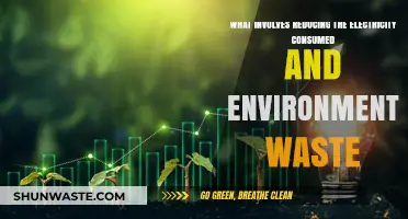 Sustainable Living: Reducing Electricity Use and Minimizing Environmental Waste
