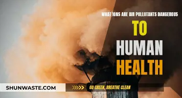 Airborne Ions: Human Health Hazards