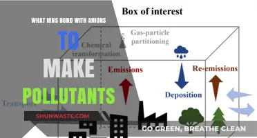 How Ions Form Pollutants with Anions