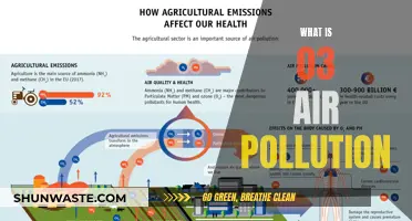 Air Pollution: Understanding the Toxic Air We Breathe