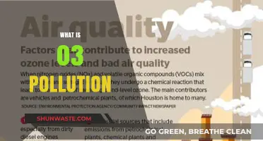 Understanding the Impact of Ozone Layer Pollution