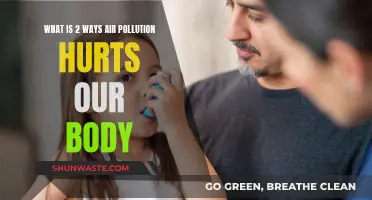 Air Pollution: Two Ways It Harms Our Health