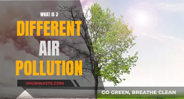 Air Pollution: 3 Types and Their Harmful Effects