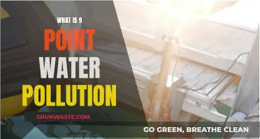 Unveiling the Impact: Understanding 9-Point Water Pollution