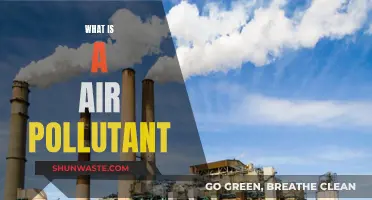 Air Pollutants: Understanding the Threat