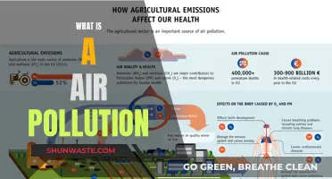 Air Pollution: Understanding the Toxic Air We Breathe