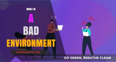 Toxic Surroundings: Understanding the Impact of a Bad Environment
