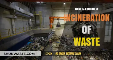 Incineration of Waste: A Sustainable Solution for Energy Recovery