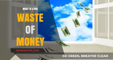 Avoid These Common Money Pits: What's Truly a Big Waste?