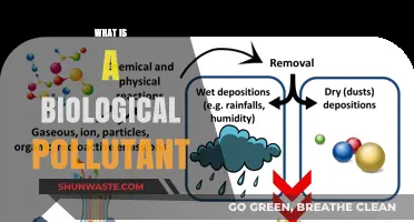 The Intriguing World of Biological Pollutants