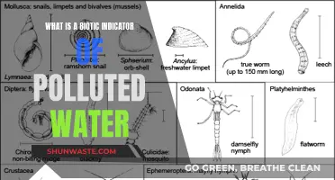 Unveiling Nature's Warning: Biotic Indicators of Water Pollution