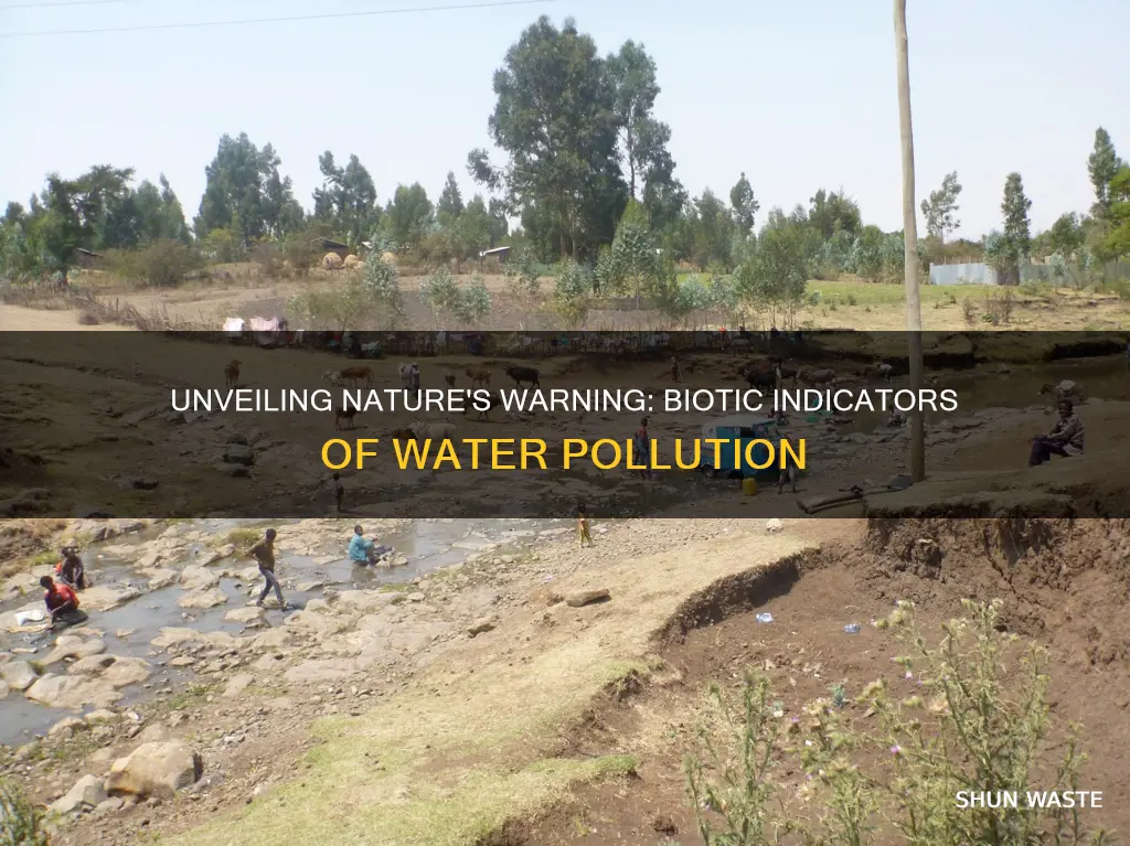 what is a biotic indicator of polluted water