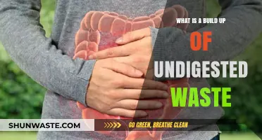 Understanding the Buildup of Undigested Waste: Causes and Solutions