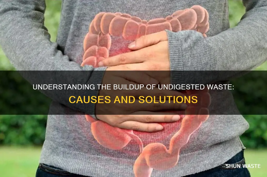 what is a build up of undigested waste