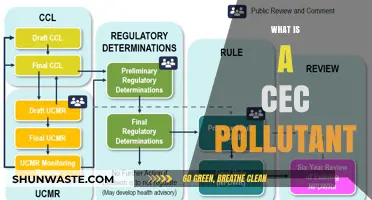 CEC Pollutants: Understanding Their Impact and Sources