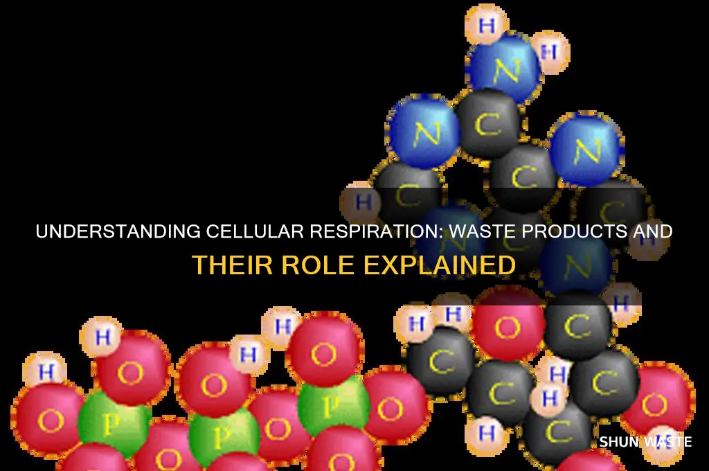 what is a cell respiration waste product